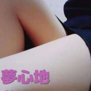 ヒメ日記 2025/05/16 20:58 投稿 あかね 夢心地