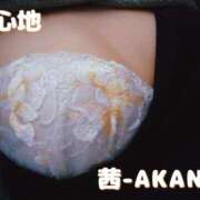 ヒメ日記 2025/05/18 00:31 投稿 あかね 夢心地