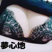 ヒメ日記 2025/05/27 20:26 投稿 あかね 夢心地