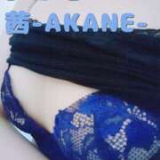 ヒメ日記 2025/06/22 00:03 投稿 あかね 夢心地