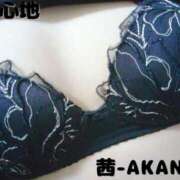 ヒメ日記 2025/06/24 20:29 投稿 あかね 夢心地