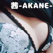 ヒメ日記 2025/06/25 21:17 投稿 あかね 夢心地