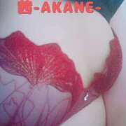 ヒメ日記 2025/07/01 20:01 投稿 あかね 夢心地