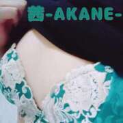 ヒメ日記 2025/07/02 20:44 投稿 あかね 夢心地