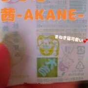 ヒメ日記 2025/07/03 20:34 投稿 あかね 夢心地