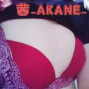 ヒメ日記 2025/07/22 20:30 投稿 あかね 夢心地