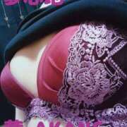 ヒメ日記 2025/08/03 17:26 投稿 あかね 夢心地