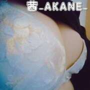 ヒメ日記 2025/08/05 20:14 投稿 あかね 夢心地