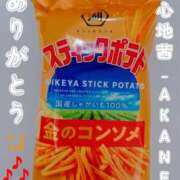 ヒメ日記 2025/08/08 00:16 投稿 あかね 夢心地