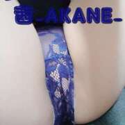 ヒメ日記 2025/08/31 00:41 投稿 あかね 夢心地