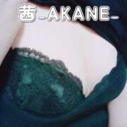 ヒメ日記 2025/09/07 01:37 投稿 あかね 夢心地