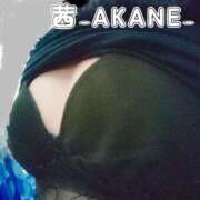 ヒメ日記 2025/09/11 20:43 投稿 あかね 夢心地