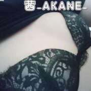 ヒメ日記 2025/09/14 23:31 投稿 あかね 夢心地