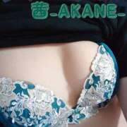 ヒメ日記 2025/10/04 11:53 投稿 あかね 夢心地