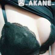 ヒメ日記 2025/10/05 21:16 投稿 あかね 夢心地