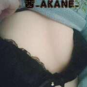 ヒメ日記 2025/10/31 21:53 投稿 あかね 夢心地