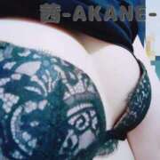 ヒメ日記 2025/11/08 19:42 投稿 あかね 夢心地