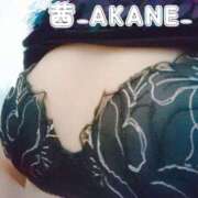 ヒメ日記 2025/11/12 20:38 投稿 あかね 夢心地