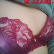 ヒメ日記 2025/11/14 20:32 投稿 あかね 夢心地