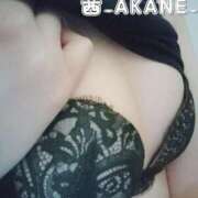 ヒメ日記 2025/11/17 01:14 投稿 あかね 夢心地