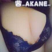 あかね 今日から 夢心地