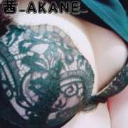 ヒメ日記 2025/12/10 15:24 投稿 あかね 夢心地