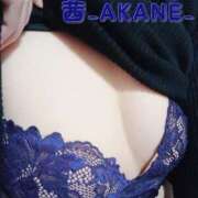 ヒメ日記 2025/12/24 15:34 投稿 あかね 夢心地