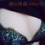 ヒメ日記 2026/01/02 16:00 投稿 あかね 夢心地