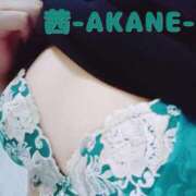 ヒメ日記 2026/01/18 15:37 投稿 あかね 夢心地