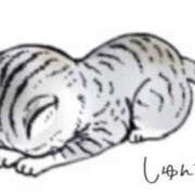 ヒメ日記 2026/03/07 15:43 投稿 あかね 夢心地