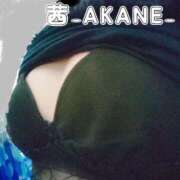 ヒメ日記 2026/04/13 18:29 投稿 あかね 夢心地