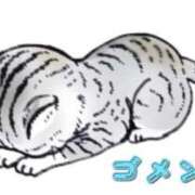 ヒメ日記 2026/04/15 15:49 投稿 あかね 夢心地