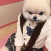 ヒメ日記 2025/02/09 07:59 投稿 ひな 妹系イメージSOAP萌えフードル学園 大宮本校