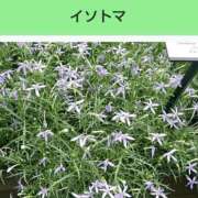 ヒメ日記 2025/01/05 18:52 投稿 工藤　藍 セレブショップ新宿（東京ハレ系）