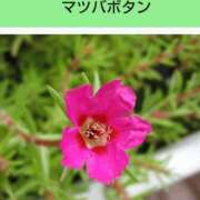 ヒメ日記 2025/02/10 08:13 投稿 工藤　藍 セレブショップ新宿（東京ハレ系）