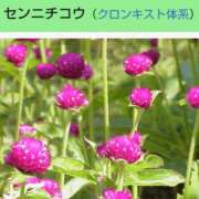 ヒメ日記 2025/02/11 20:35 投稿 工藤　藍 セレブショップ新宿（東京ハレ系）