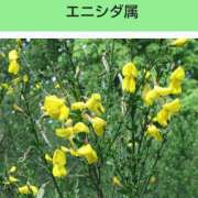 ヒメ日記 2025/02/25 17:51 投稿 工藤　藍 セレブショップ新宿（東京ハレ系）