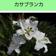 ヒメ日記 2025/03/14 08:29 投稿 工藤　藍 セレブショップ新宿（東京ハレ系）