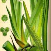 ヒメ日記 2025/03/24 08:16 投稿 工藤　藍 セレブショップ新宿（東京ハレ系）