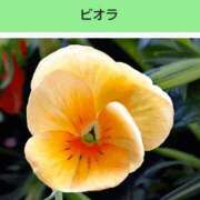 ヒメ日記 2025/04/10 20:58 投稿 工藤　藍 セレブショップ新宿（東京ハレ系）