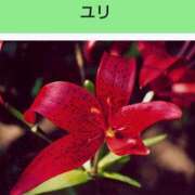 ヒメ日記 2025/04/14 08:11 投稿 工藤　藍 セレブショップ新宿（東京ハレ系）