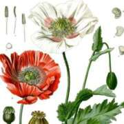 ヒメ日記 2025/04/17 19:31 投稿 工藤　藍 セレブショップ新宿（東京ハレ系）