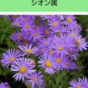 ヒメ日記 2025/04/21 08:18 投稿 工藤　藍 セレブショップ新宿（東京ハレ系）