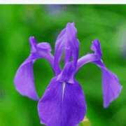 ヒメ日記 2025/05/01 20:22 投稿 工藤　藍 セレブショップ新宿（東京ハレ系）