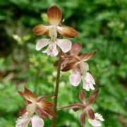 ヒメ日記 2025/05/08 20:55 投稿 工藤　藍 セレブショップ新宿（東京ハレ系）