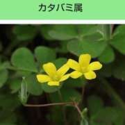 ヒメ日記 2025/05/09 08:11 投稿 工藤　藍 セレブショップ新宿（東京ハレ系）