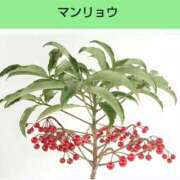 ヒメ日記 2025/05/12 08:12 投稿 工藤　藍 セレブショップ新宿（東京ハレ系）