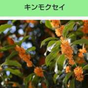 ヒメ日記 2025/05/18 21:05 投稿 工藤　藍 セレブショップ新宿（東京ハレ系）
