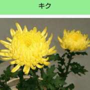 ヒメ日記 2025/05/19 08:16 投稿 工藤　藍 セレブショップ新宿（東京ハレ系）