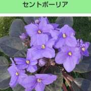 ヒメ日記 2025/05/20 21:31 投稿 工藤　藍 セレブショップ新宿（東京ハレ系）